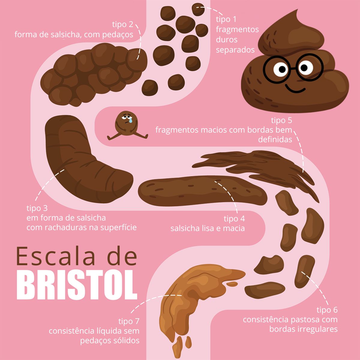 Escala de Bristol: Uma Ferramenta para Entender as Fezes e a