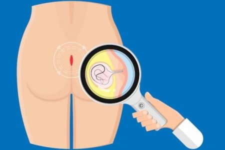 CREATOR: gd-jpeg v1.0 (using IJG JPEG v62), quality = 80